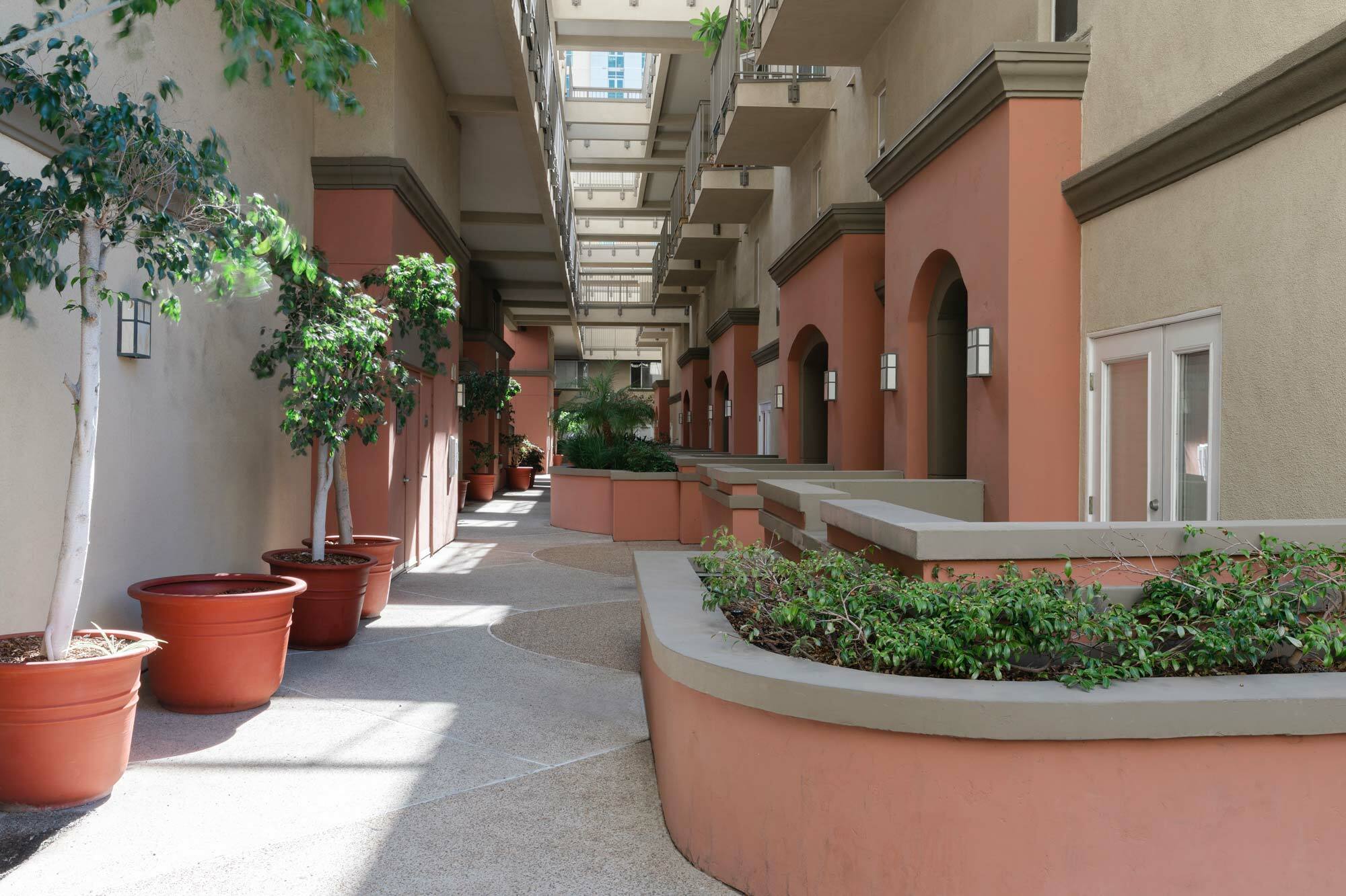 outdoor walkway lined with large potted trees